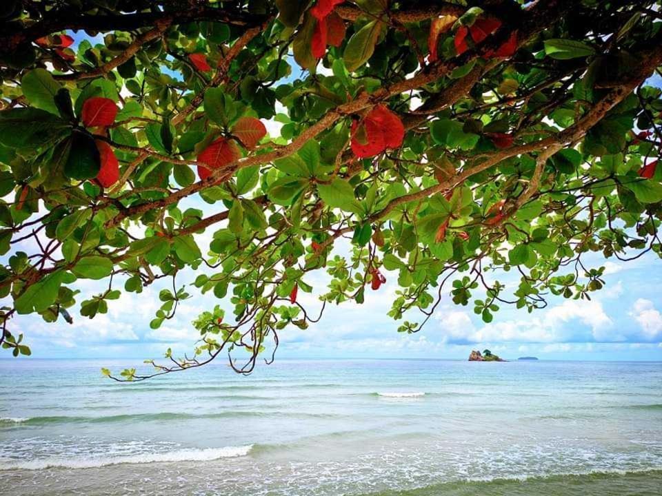ทีพักติดหาดแหลม​แม่พิมพ์​Mantra Condo​ Rayong​ Ban Ang Eksteriør billede